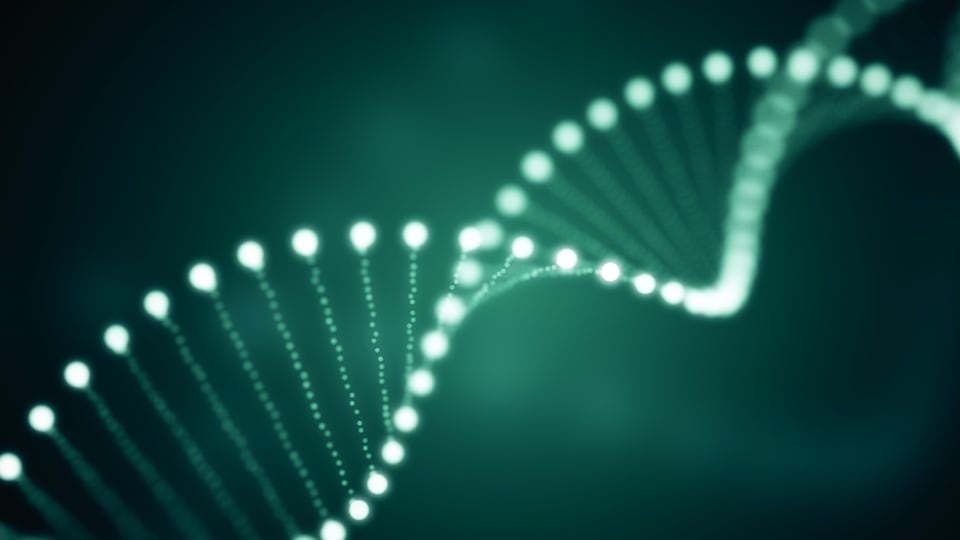 Milestones - Nachhaltig mit KI