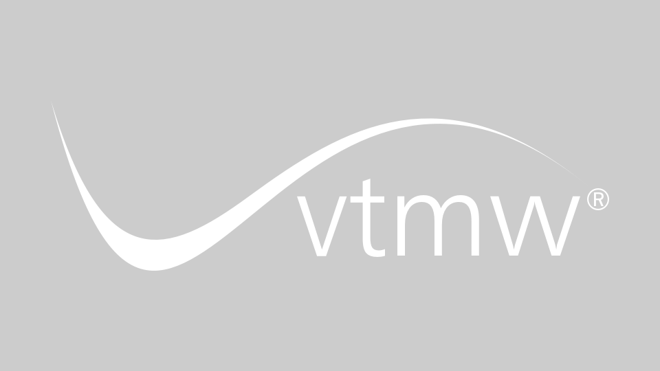 Milestones - Partnerschaft mit vtmw